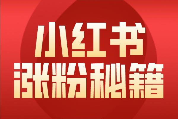 小红书快速涨粉攻略